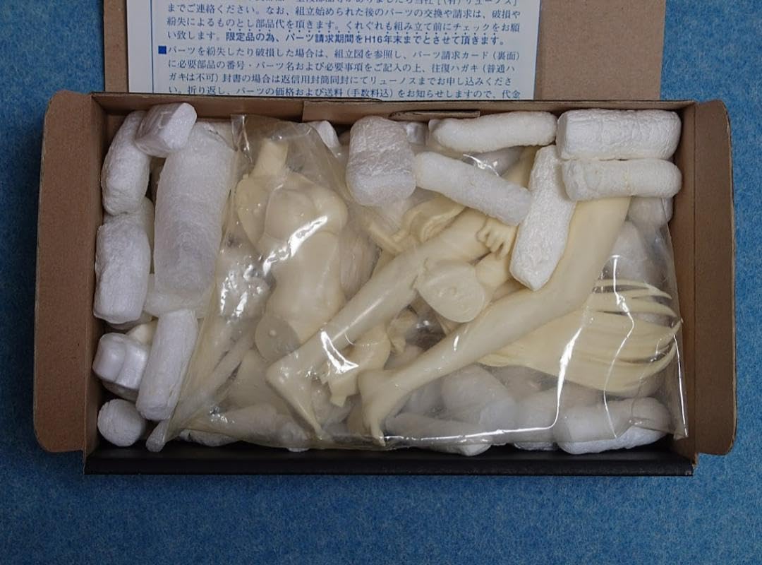 風見みずほ 水着ver. おねがいティーチャー リューノス ガレージキット Amazon.co.jp: 風見みずほ 水着[おねがいティーチャー]1/6 A@B@C
